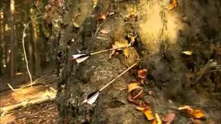 Traditional Archery // Roving