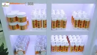 Company Overview   Guangzhou Hodm Professionals Cosmetics Co , Ltd 2