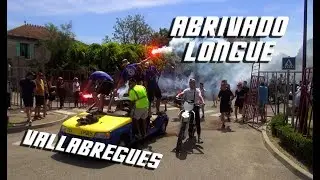 VALLABREGUES Abrivado Longue 17-06-2018 🐴
