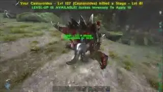 ARK: Survival Evolved - Castoroides (Giant Beaver) VS. Tyrannosaurus Rex