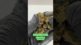 🚨😲R&eacute;sine CBD - THCp 20% - Boutique en ligne CDUCBD.com #bienetre #chill #plante #relax #foryou