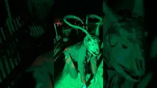 Something lurks in the shadows at High Desert Haunted House!
