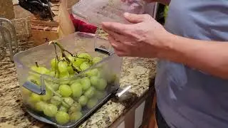 ProKeeper+ by Progressive Stackable Produce ProKeeper Storage Container Review