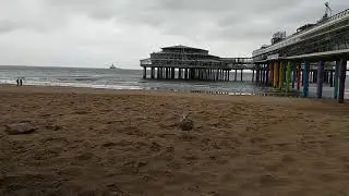 Surfing - Netherlands - Den Haag