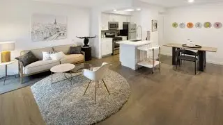 Apartment 223