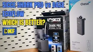 SICCE SHARK PRO VS OASE ECO FLOW COMPARISON