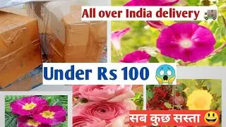 @ Rs 10 Rare plants for my viewers