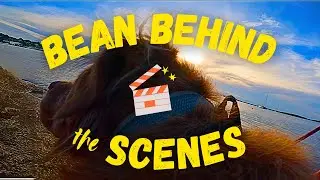 Bean Behind the Scenes | Ep 001