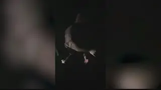 Illinois State Police Trooper's attorney says his actions were justified