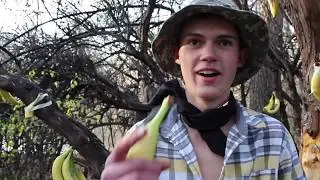 Legit Banana Documentary