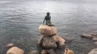 The Little Mermaid Statue | Copenhagen | Denmark