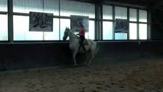 Levade - Straightness Training