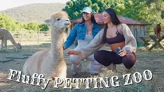 Exploring River Mill: Free Fun & Furry Friends! 🐐
