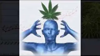 Quit Marijuana The Complete Guide