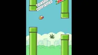 MLG Flappy Bird 420- Rage!