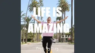 Life Is Amazing