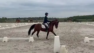 Louba Star Seizh Avel Lays étalons CCJP 4 ans CCE Corné Dressage 12 avril 2025