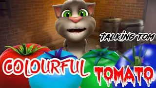 Talking Tom Billu 4 Colour Tomato Funny 😻 Comedy Video 😂
