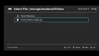 How to Netplay on Retroarch fix matching content issue