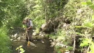 Business of the Month: Environmental Dynamics Inc.