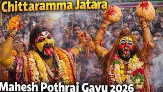 Chittaramma Jatara 2026 Mahesh Pothraj Gavu At Gajularamaram Chittaramma Jatara Full Massive Crowd 🔥