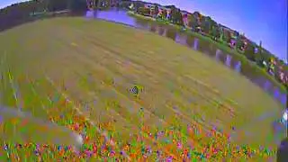 FuriBee Geniuser 160 - Acro flying on a sunny day (*)