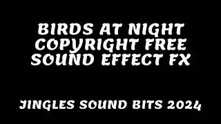 Birds At Night Copyright Free Sound Effect FX