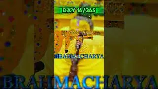 #brahmachari Day 16/365 &ndash; Most People Quit Here. I Didn&rsquo;t. 🗿
