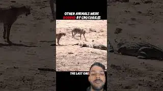#animals #wildliferescue #wildanimals #leopard #bravetiger #crocodile