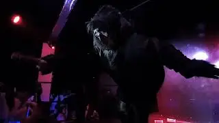 Evolution - She Wulva