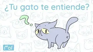 ¿Tu gato te entiende? | Mof