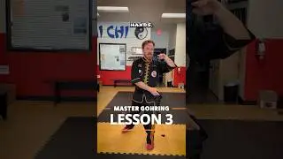 Lesson 3 - Experience the artistry of Tai Chi