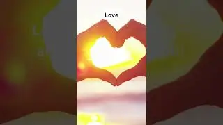 Love #LoveInsights #HeartfeltFacts #LoveTrivia #RomanceRevealed #AffectionFacts #HeartwarmingTruths