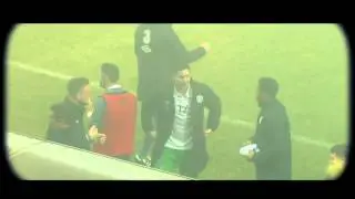 Bosnia-Herzegovina vs Irlanda 2015 1-1, All Goals & Resume, EURO 2016 Qualifiers