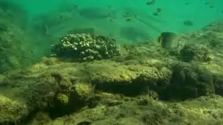 Phuket/KATA NOI/ KARON/ Snorkeling/Nov 2018