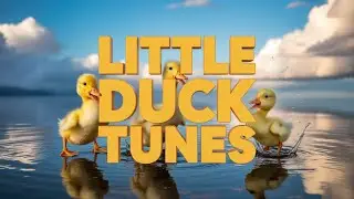 Little Ducks Learning Song | Fun English Kids Music for Babies Singing and Learning Animal Sounds