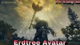 Erdtree Avatar No Hit No Damage