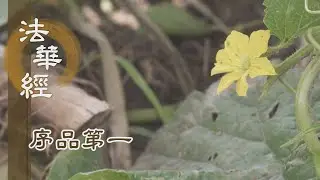 【靜思妙蓮華】法華經序品第一 - 心靈妙藥 自度度人 - 20200129 第137集