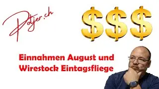&Uuml;bersicht EINNAHMEN August 2023 mit FOTOSTOCK als Hobby-Fotograf