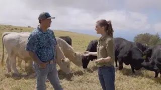 Support Hawaiʻi's Farmers by Shopping Kamaʻaina Beef