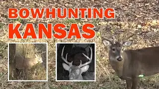 Bowhunting Kansas public land [LOTS OF BUCKS!] | N1 Outdoors