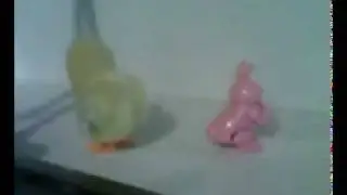 Chicken vs Rabbit
