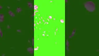 FLOWERA ANIATION || GREEN SCREEN || CHROME KEY || CONTENT FOR CREATORS
