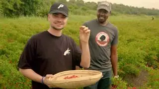 First Heat: Episode 1 | This is PERi-PERi | Nando's UK