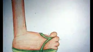 Bicho Tutu tube.wmv