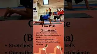 Release Back Pain! Gentle Cow & Cat Pose Yoga Flow for a Happy Spine! 🐱🐮#shorts #2winners #yoga
