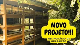 NOVO Meliponário - Construção e dicas!