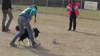Obedience class 3