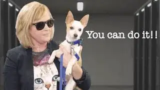 Texas Humane Heroes Amplify Austin | Operation Snip Snip