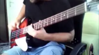 Owlwood | Cult Of Luna Bass Cover | Tokai Thunderbird Bass